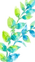 Watercolor botanical branch with lime green and turquoise leaves on white isolated background, suitable for design projects, textiles, and decorative applications.
