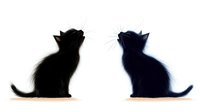 Black and navy blue cat silhouettes sitting in mirrored poses against white background, isolated design element for decorative use and creative projects.