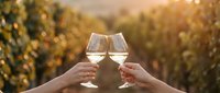 Two hands toasting with white wine glasses against golden vineyard landscape at sunset, celebrating romantic moment in wine country during harvest season.