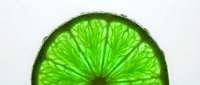 Vibrant lime slice with translucent green flesh and detailed segments, isolated on white background for beverage, food, and design projects.