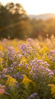 Purple wildflowers blooming in golden sunset light with warm bokeh background creating dreamy natural landscape for wellness and nature themes.