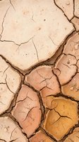 Cracked dry earth surface with deep fissures showing drought conditions and arid landscape texture for environmental and climate change concepts.