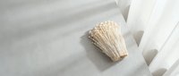 Natural bristle paintbrush with wooden handle resting on white textured surface, ideal for art projects, interior design mockups, and creative work presentations.