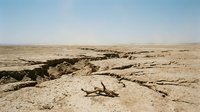 Arid desert landscape with deep erosion crevasses and dead wood, depicting drought conditions and environmental degradation for climate change awareness projects.
