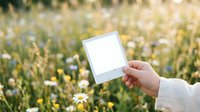 Unrecognizable person holding blank white card in hand against blooming wildflower meadow with yellow and white flowers for mockup and branding purposes.