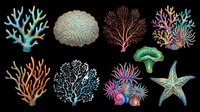 Colorful coral reef elements set with starfish and sea anemone, isolated on transparent background, ready for stickers, T-shirts, and print on demand.