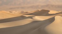 Golden sand dunes with flowing curves and dramatic shadows creating natural patterns in warm desert landscape during soft sunlight hours.
