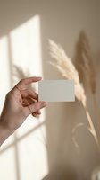Hand holding blank white business card mockup with natural sunlight shadows and dried pampas grass in warm beige neutral background for branding design.