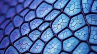 Macro view of hexagonal pattern with cracked texture in vibrant blue and purple gradient, creating abstract geometric background with depth and dimension.