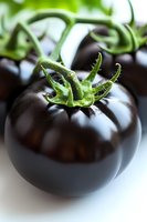 Fresh dark purple heirloom tomatoes with green stems and leaves on white background, macro photography showing texture and natural details in soft light.