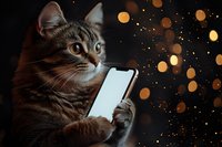 Curious tabby cat holding smartphone against dark background with golden bokeh lights. Humorous concept of pets using modern technology and social media.