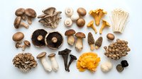 Assorted fresh and dried mushrooms including button, oyster, chanterelle, and shiitake varieties arranged on white background for culinary and food styling use.