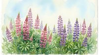 Watercolor lupine flowers in purple and pink hues with green foliage against soft sky background, botanical garden scene for spring decor and nature themes.