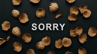 Word SORRY in white letters on dark background surrounded by dried brown rose petals, expressing apology, regret, and forgiveness.