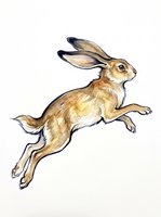 Jumping brown rabbit with long ears isolated on transparent background, ready for t-shirt designs, stickers, clipart, print-on-demand products and sublimation projects.