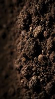 Close-up of rich, dark soil texture with granular particles and depth of field, suitable for agriculture, gardening, and environmental projects.
