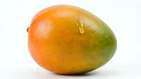 Fresh mango with orange and green gradient skin isolated on white background, ready for food and beverage design, packaging, and culinary content use.