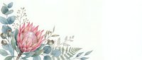 Watercolor pink protea flower with eucalyptus leaves and ferns on white background, isolated botanical illustration for wedding invitations and design projects.