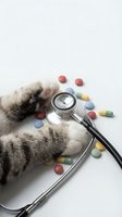 Cat paws with stethoscope and colorful pills on white background for veterinary healthcare and pet medicine concepts.