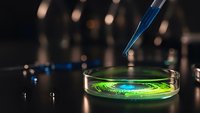 Laboratory pipette dropping bright green fluorescent liquid into petri dish for scientific research and chemical analysis experiments in modern lab.