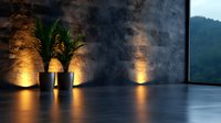 Modern minimalist interior with palm plants against concrete wall illuminated by warm uplighting, creating dramatic shadows and atmosphere in empty room.