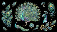 Colorful peacock clipart set with full display, portrait, feathers, and branches, isolated on transparent background, ready for stickers, sublimation, and t-shirt design.