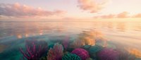 Vibrant coral reef underwater scene with colorful marine life beneath calm ocean surface during golden hour sunset with pink and orange sky reflections.
