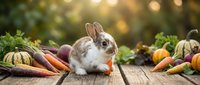 Adorable bunny rabbit eating carrot surrounded by fresh autumn vegetables on rustic wooden table with warm bokeh lights for seasonal harvest themes.