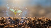 Young green seedling sprouting from rich soil with digital network connections and data visualization overlay representing agricultural technology innovation.
