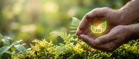 Hands protecting glowing house icon over green moss in forest. Environmental protection, eco-friendly home, sustainable living and nature conservation concept.