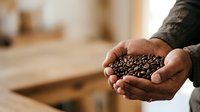 Hands holding roasted coffee beans in palms, close-up shot in warm indoor setting with blurred background, suitable for coffee business, cafe marketing, and beverage industry content.