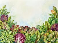 Watercolor illustration of fresh garden vegetables including purple cabbage, leafy greens, and mixed produce arranged at bottom with soft sky background, suitable for culinary, organic, and farm-to-table design projects.