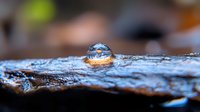 Macro water droplet on weathered wood surface reflecting natural surroundings with vibrant blue sky detail.