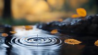 Water drop creates concentric ripples on dark water surface with floating autumn leaves, dramatic macro photography capturing moment of impact in nature.