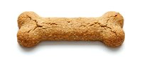 Dog treat bone-shaped biscuit made from whole grain ingredients, perfect for pet nutrition, training rewards, and animal care marketing materials.