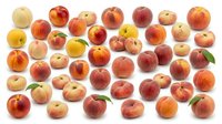 Fresh ripe peaches collection showing variety of colors from yellow to deep red, perfect for healthy eating concepts and summer fruit designs.