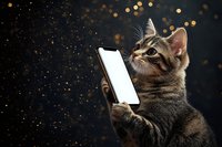 Tabby kitten holding smartphone with blank screen against dark background with golden bokeh lights and glitter particles.