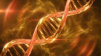 Glowing DNA double helix structure with golden and orange light effects, representing genetic science, molecular biology, and medical research applications.