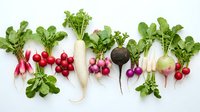 Fresh colorful radishes with green leaves arranged in row on white background. Organic root vegetables for healthy cooking and farm market display.