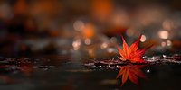 Vibrant red maple leaf floating on dark water surface with bokeh light reflections creating atmospheric autumn mood.