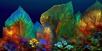 Vibrant underwater coral reef scene with colorful sea fans and marine plants in tropical ocean environment for nature and diving themes.