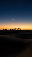 Desert caravan silhouette at twilight with crescent moon and starry sky over sand dunes creating dramatic landscape for travel and adventure concepts.