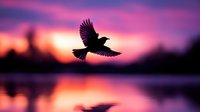 Silhouette of a bird in flight against a vibrant sunset sky with pink and purple hues reflected in calm water below.