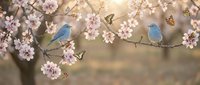 Two blue birds perched on blooming cherry blossom branches with butterflies in warm spring sunlight creating peaceful nature scene for wellness content.