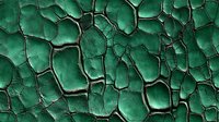 Cracked emerald green surface with deep fissures and textured pattern resembling dried mud or weathered paint, creating an abstract organic network of lines and shapes.
