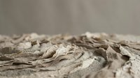 Dried autumn leaves scattered on ground creating natural textured surface with shallow depth of field for seasonal backgrounds and nature designs.