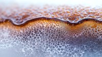 Macro shot of dark liquid with foam bubbles creating abstract pattern. Brown and white gradient with detailed bubble texture shows liquid dynamics and movement.