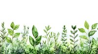 Watercolor green leaves and herbs border on white background, botanical seamless pattern for nature-inspired designs and eco-friendly projects.