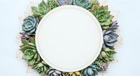 Isolated circular frame surrounded by succulent plants in green and purple tones on white background, ready for design, invitations, and social media graphics.