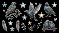 Iridescent starling birds clipart set with feathers, berries, branches, stars, and heart, isolated on transparent background, ready for stickers, t-shirt design, and print on demand.